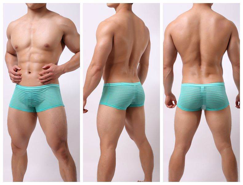 Striped Transparent Boxers For Men - Mubimart