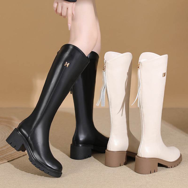 Winter Thick Bottom Tall Knight Boots - Mubimart