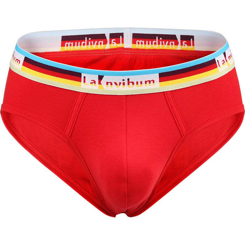 Rainbow Rubber Band Cotton Briefs - Mubimart