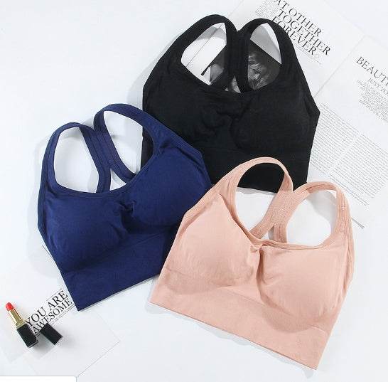 Accent Sports Bra - Mubimart