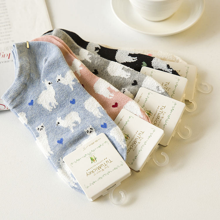 Cotton Short Ankle Socks - Mubimart -  