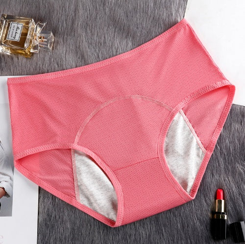 5PCS Menstrual Underwear Women Leak Proof Panties - Mubimart -  