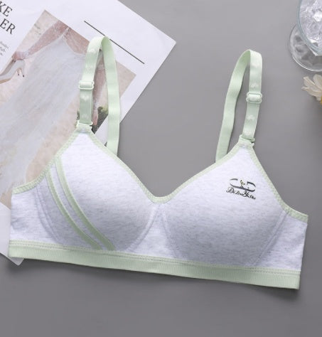 Japanese Style Small Chest Push Up Bra - Mubimart -  