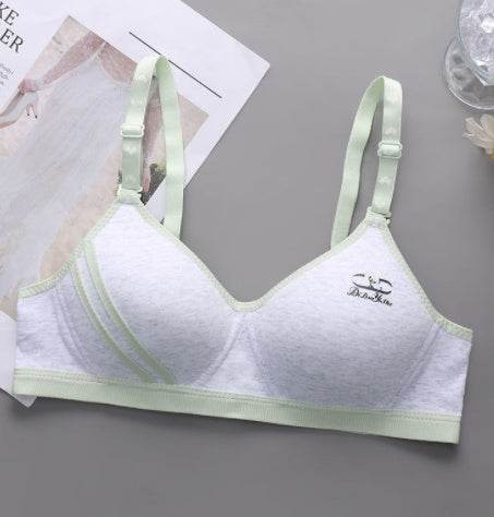 Japanese Style Small Chest Push Up Bra - Mubimart