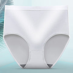 Women's Tummy Tucking Hip Lifting Shaping Panties - Mubimart -  