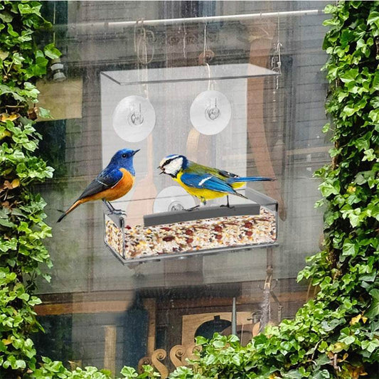 Acrylic Bird Feeder Pet Bird Cage Outdoor Hummingbird Feeder - Mubimart