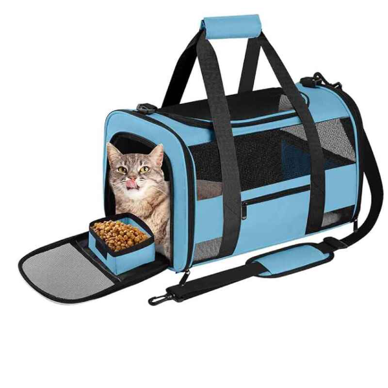 Airline Approved Cat Carriers