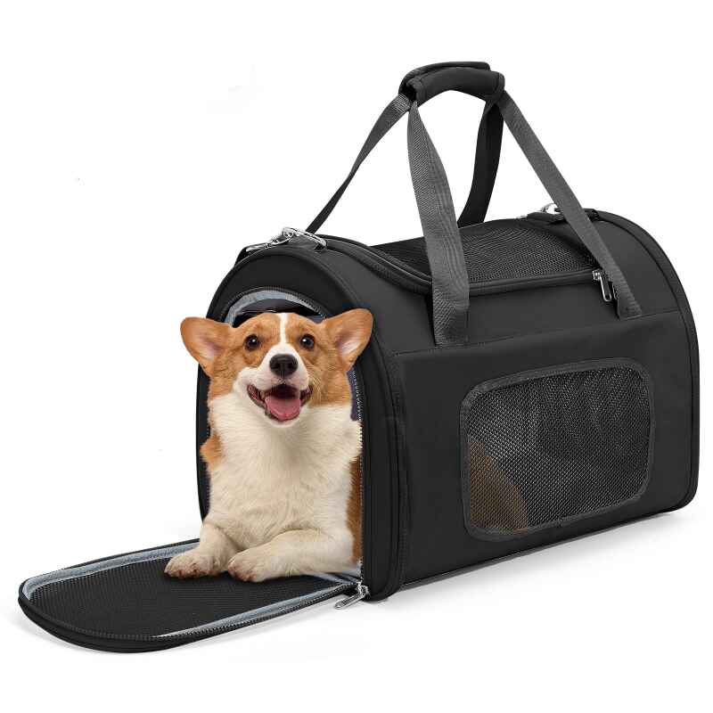 Airline Approved Dog Carriers