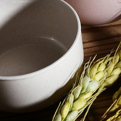 Anti scalding plastic bowl with wheat straw - Mubimart -  