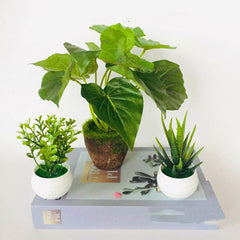 Artificial Green Plants Potted Artificial Flowers Small Ornaments - Mubimart - Artificial plant 