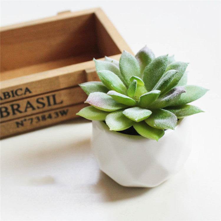 Artificial Succulent Bonsai Creative Ornaments for Home Table Garden Decoration Artificial Plants with Pot - Mubimart