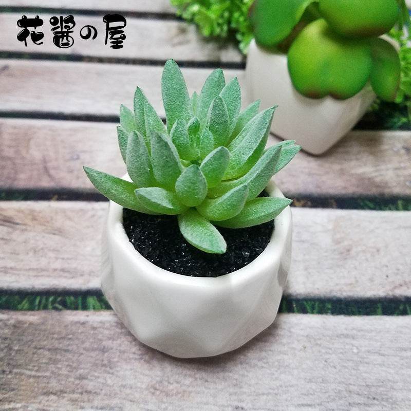Artificial Succulent Bonsai Creative Ornaments for Home Table Garden Decoration Artificial Plants with Pot - Mubimart
