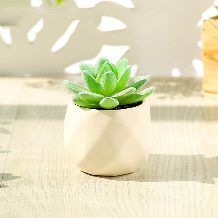 Artificial Succulent Bonsai Creative Ornaments for Home Table Garden Decoration Artificial Plants with Pot - Mubimart