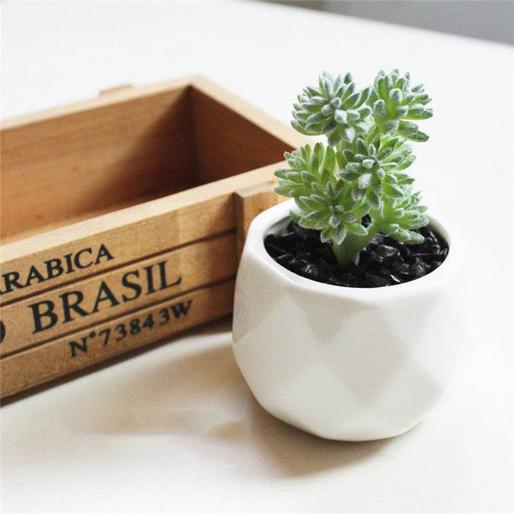 Artificial Succulent Bonsai Creative Ornaments for Home Table Garden Decoration Artificial Plants with Pot - Mubimart
