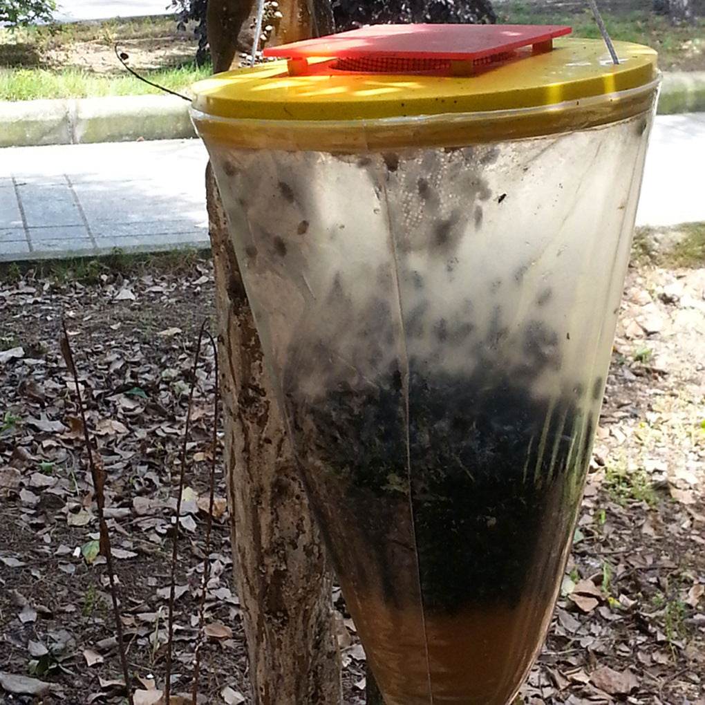 Attracting Bag Hanging Type R Fly Trap - Mubimart