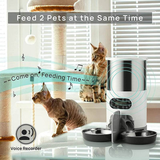 Automatic chqiue pet feeder - Mubimart