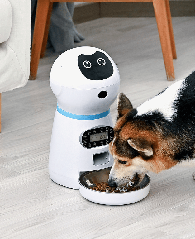 Automatic pet feeder - Mubimart