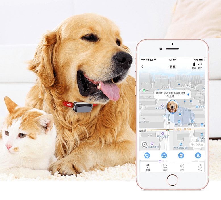 Beidou GPS pet positioning collar - Mubimart
