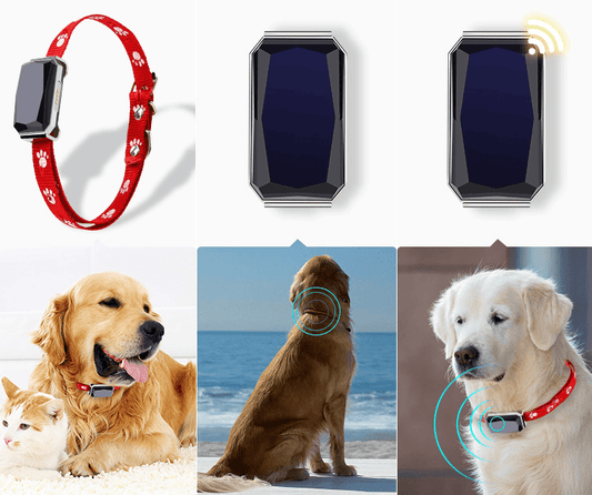 Beidou GPS pet positioning collar - Mubimart