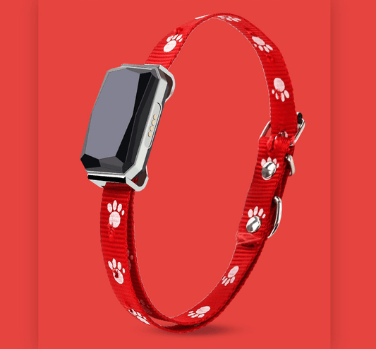 Beidou GPS pet positioning collar - Mubimart