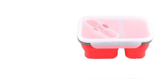 Bento Box Food Preservation Box - Mubimart