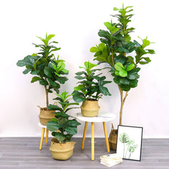 Bonsai Decorated With Fake Trees And Artificial Plants - Mubimart - Artificial plant 