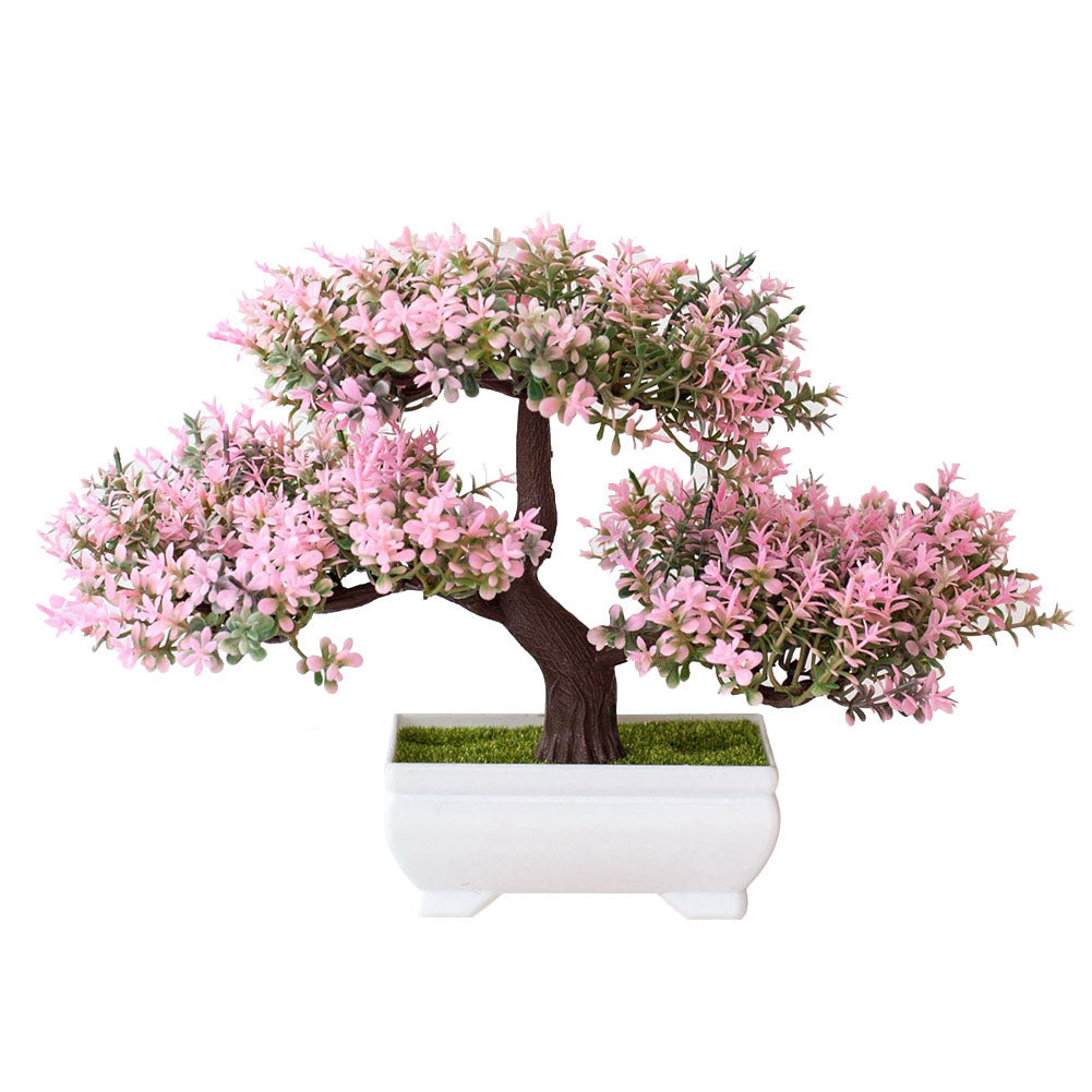 Bonsai potted plants - Mubimart -  