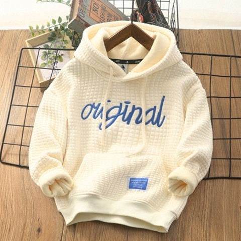 Boys' Plus Fleece Hoodie Cuhk Children's Embroidered Whole Velvet - Mubimart