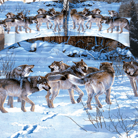 Brushed 3D four-piece set - Mubimart