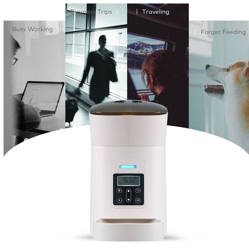 Button Version Smart Pet Automatic Feeder - Mubimart
