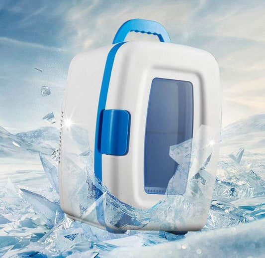 Car Home Dual-purpose Mini Refrigerator Heating And Cooling Box - Mubimart