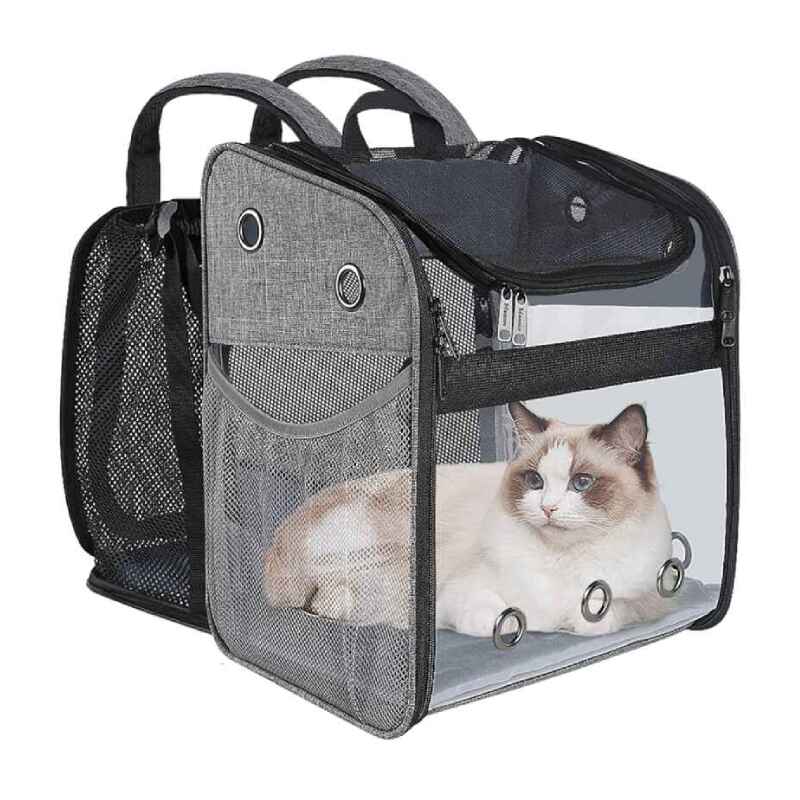 Cat Backpacks