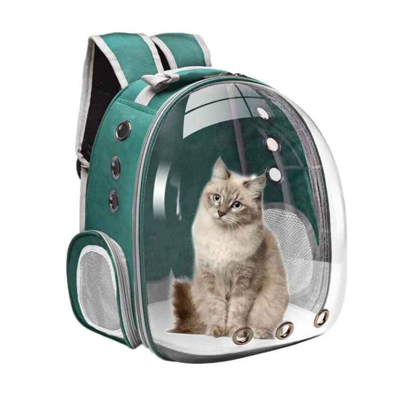 Cat Bubble Backpacks