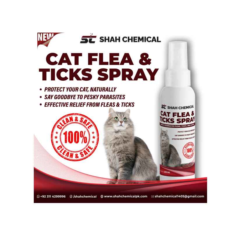 Cat Flea And Tick