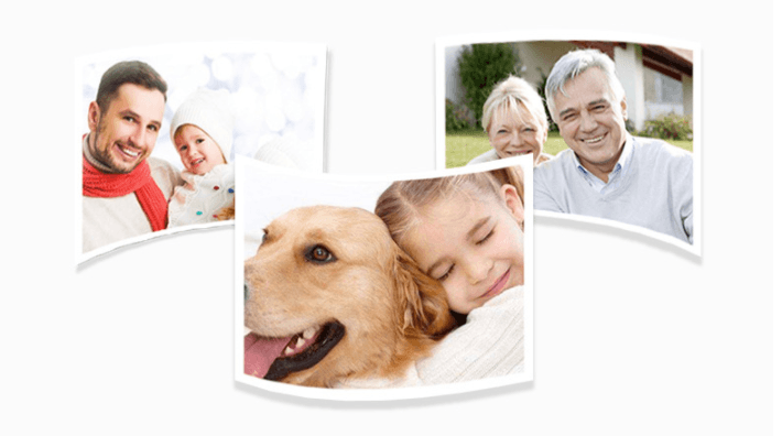 Cockroach House Paste Cockroach Trap Household Xiaoqiang Killer To Kill Cockroaches - Mubimart