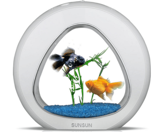 Creative Mini Table Fish Tank - Mubimart