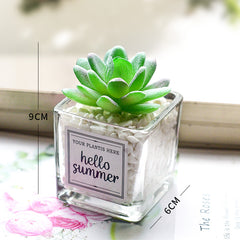 Creative decoration office potted plants - Mubimart -  