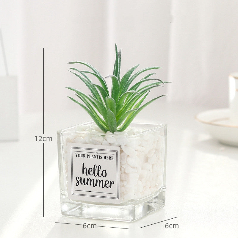 Creative decoration office potted plants - Mubimart -  