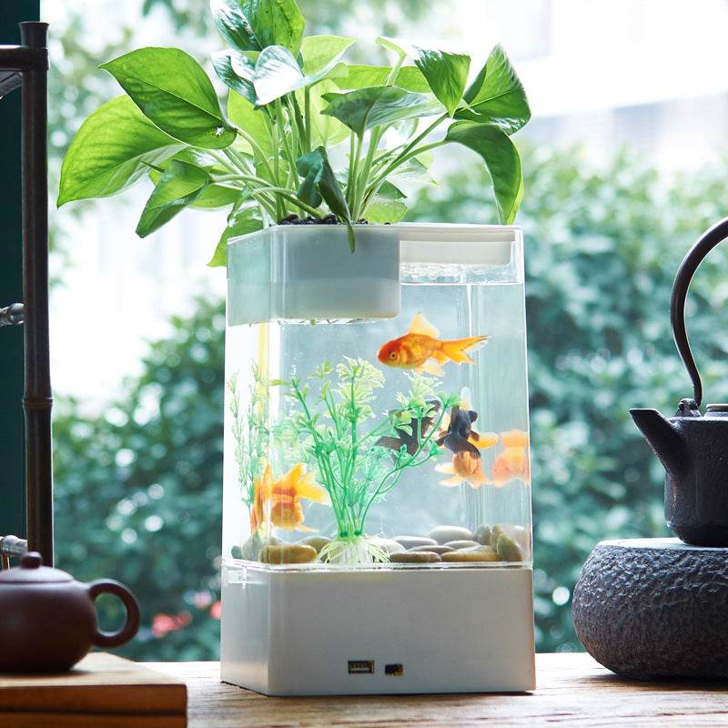 Desktop acrylic transparent fish tank - Mubimart