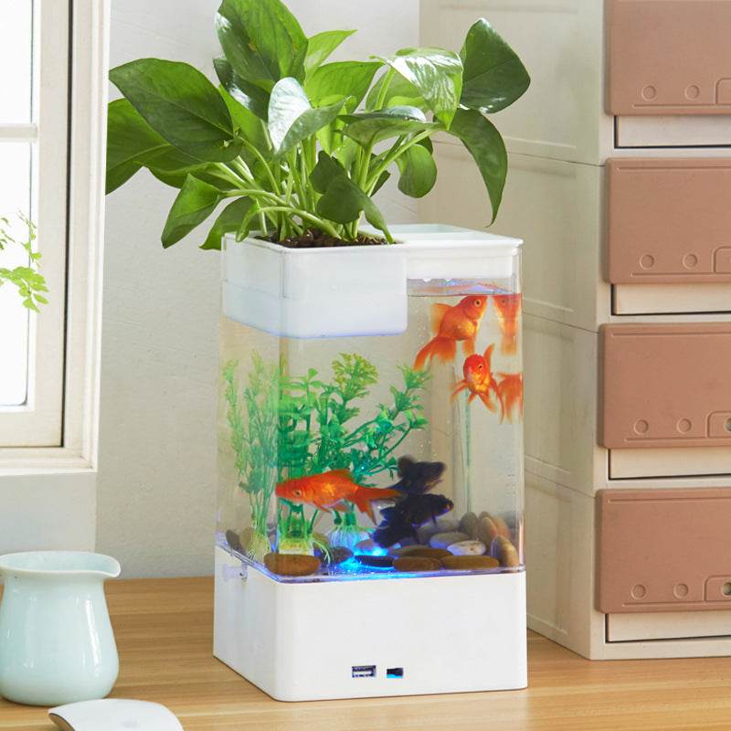 Desktop acrylic transparent fish tank - Mubimart