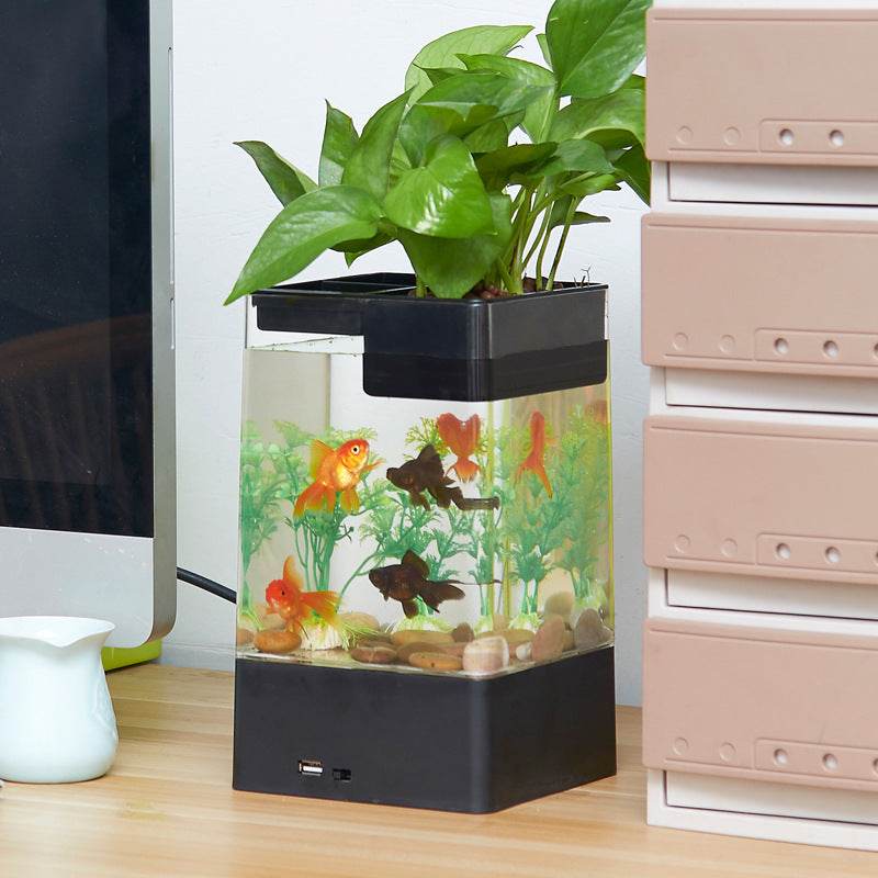 Desktop acrylic transparent fish tank - Mubimart