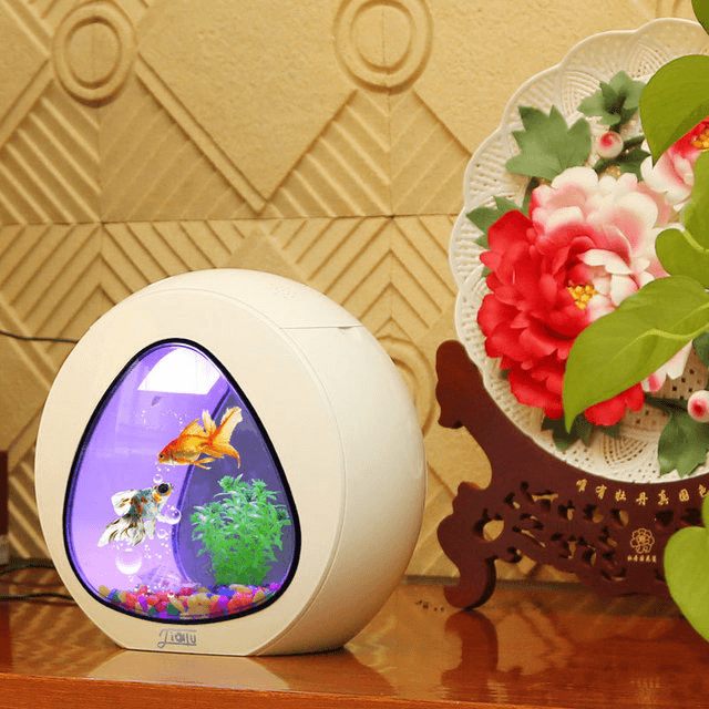 Desktop fish tank aquarium - Mubimart