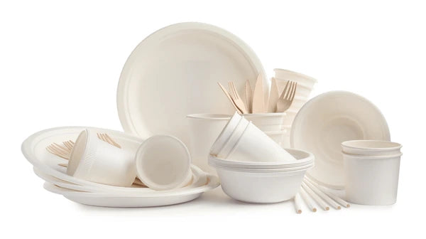 Disposable Tableware