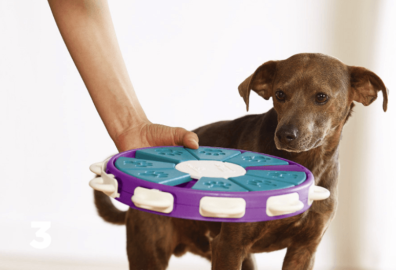 Dog educational toys - Mubimart