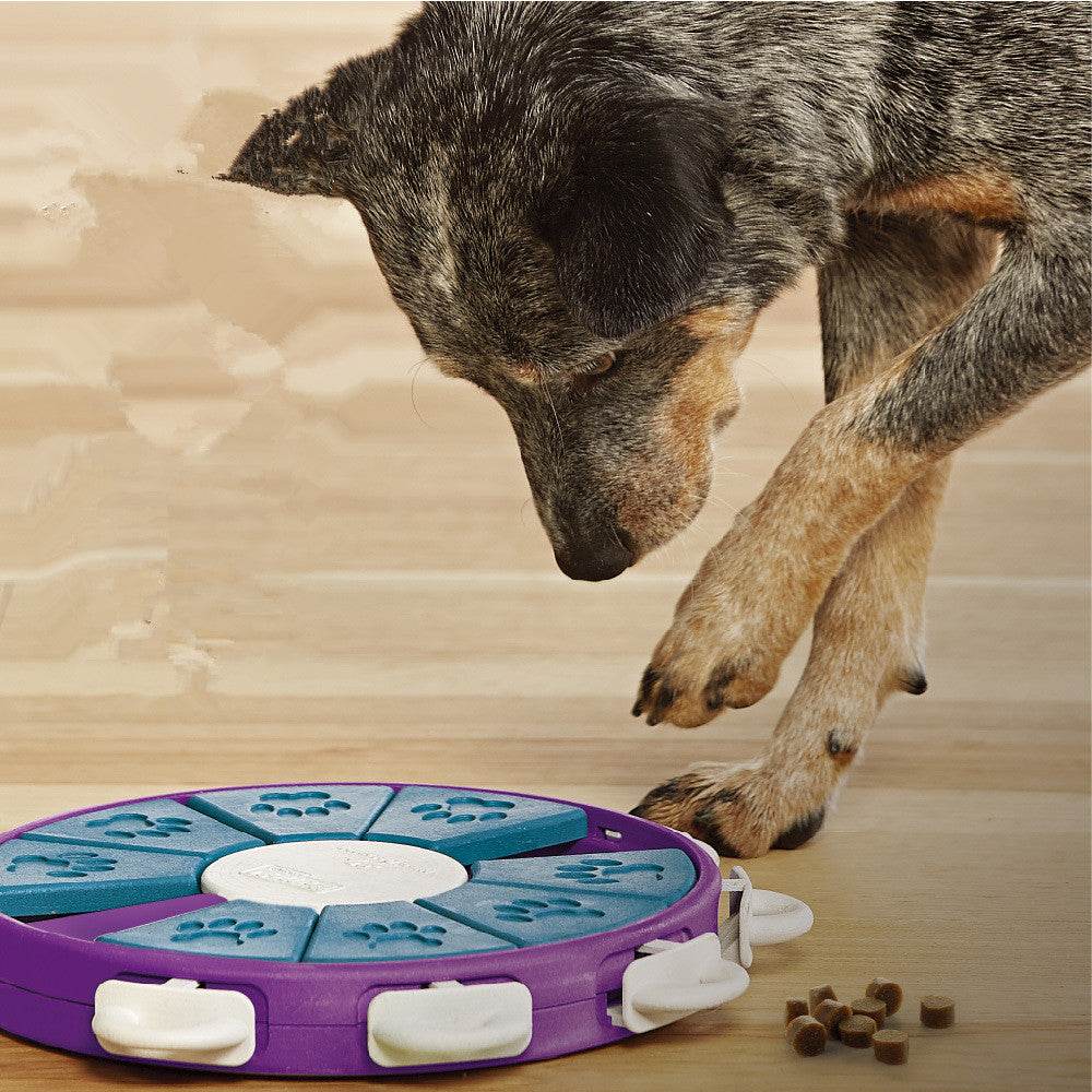 Dog educational toys - Mubimart