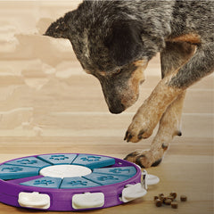 Dog educational toys - Mubimart - Dog Toys 