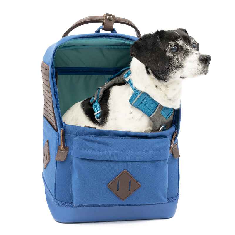 Dog Backpacks