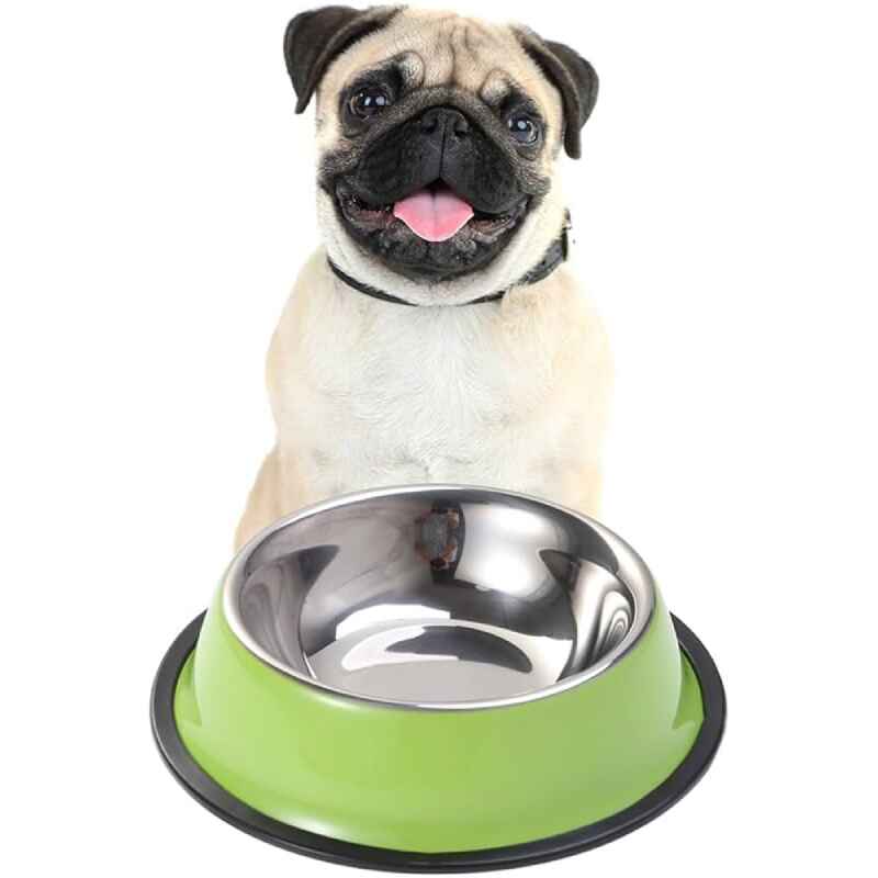 Dog Bowls & Accessories