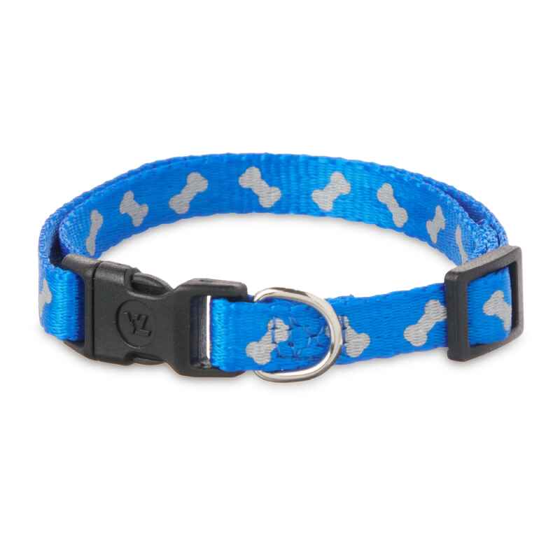 Dog Collars