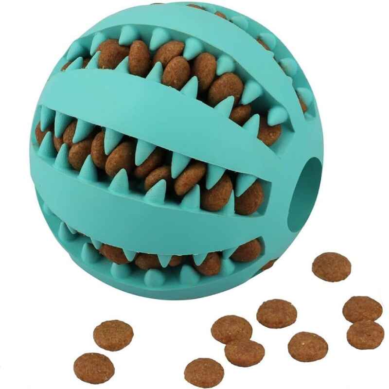 Dog Fetch Toys